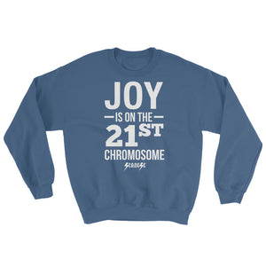 Sweatshirt---Joy---Click for more shirt colors
