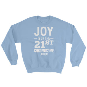 Sweatshirt---Joy---Click for more shirt colors