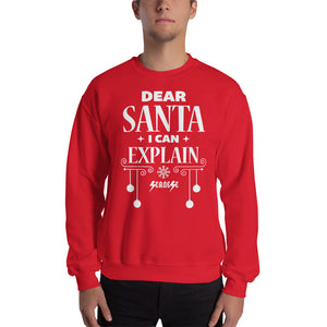 Sweatshirt---Dear Santa I Can Explain