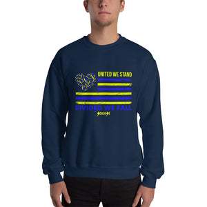Sweatshirt---United We Stand Divided We Fall---Click for more shirt colors