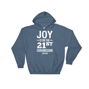 Hooded Sweatshirt---Joy---Click for more shirt colors