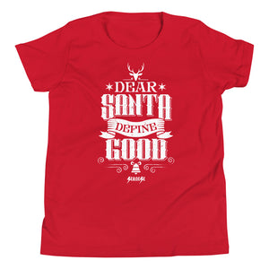 Youth Short Sleeve T-Shirt---Dear Santa Define Good---Click for more shirt colors