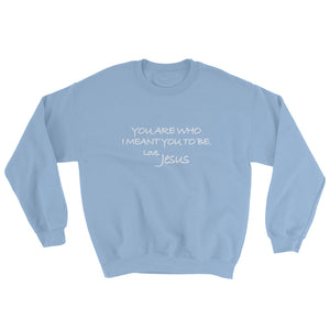 Sweatshirt---You Are Who I Meant You To Be. Love, Jesus---Click for more shirt colors