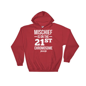 Hooded Sweatshirt---Mischief---Click for more shirt colors
