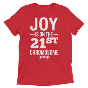 Upgraded Soft Short sleeve t-shirt---Joy---Click for more shirt colors